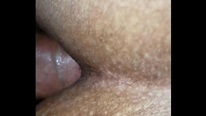 Yolo bx anal