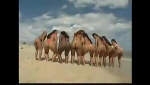 Brazilian Orgy Compilation