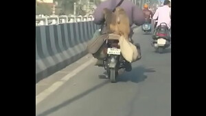 Monkey fucking on Bike