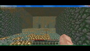 playing minecraft